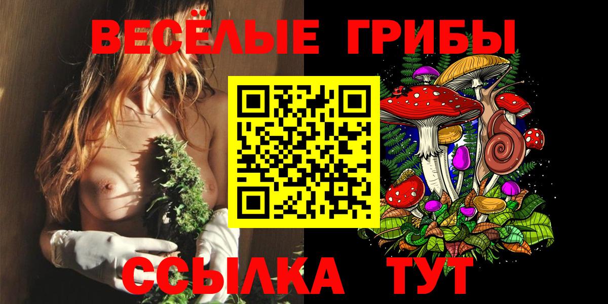 Павлово  Псилоцибиновые грибы Cubensis  Вход с VPN 